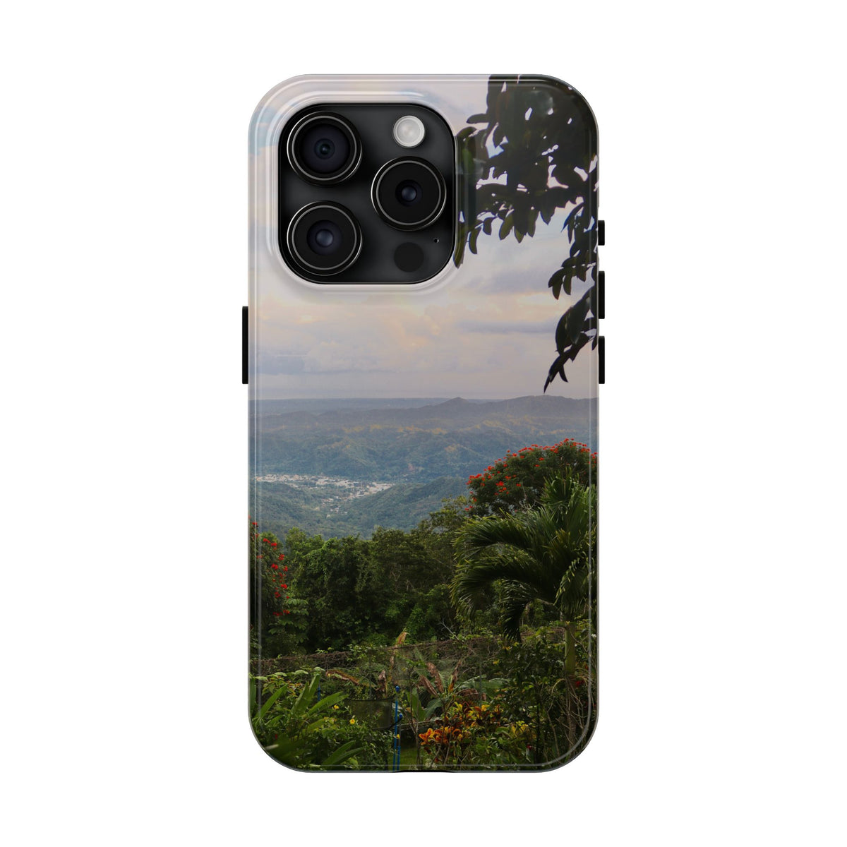 Valley View