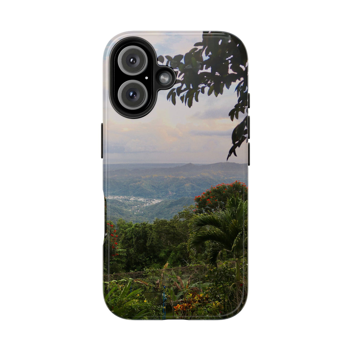 Valley View