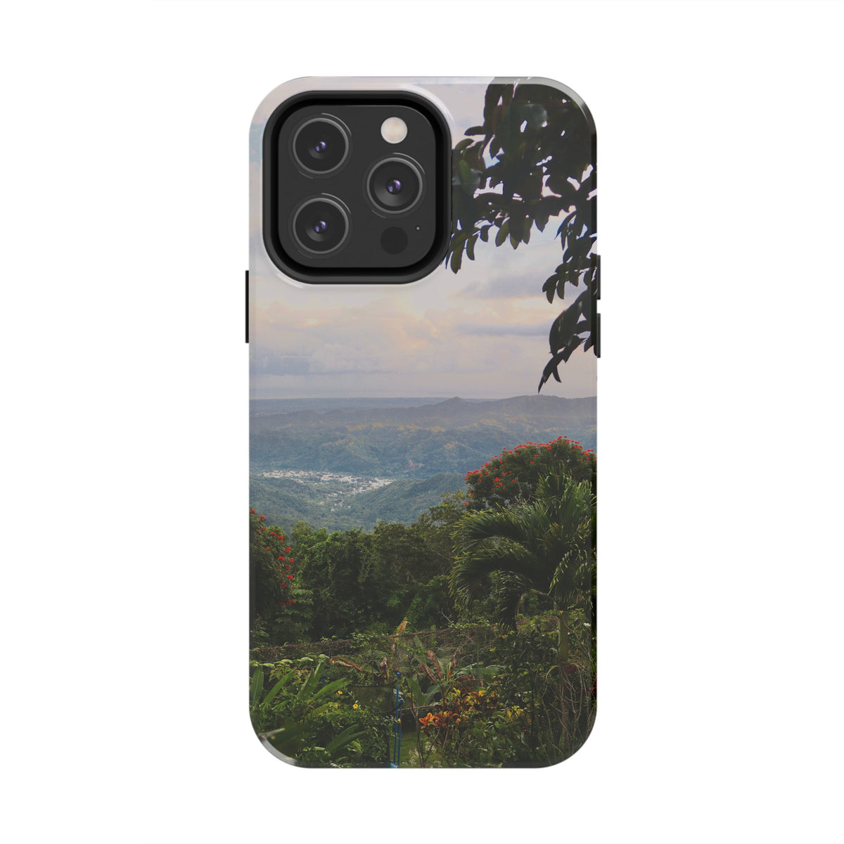 Valley View