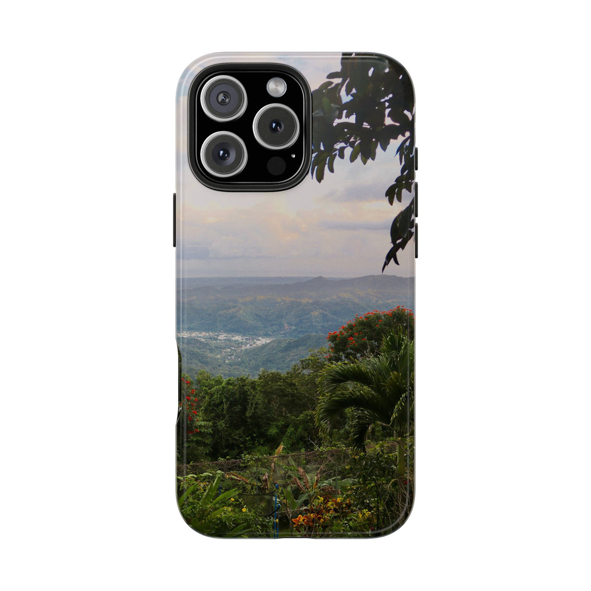 Valley View