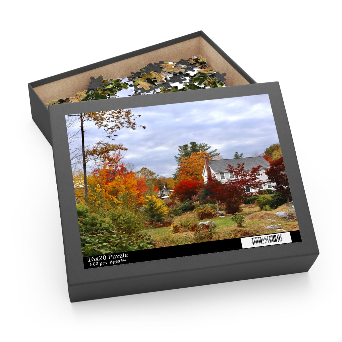 Autumn Home