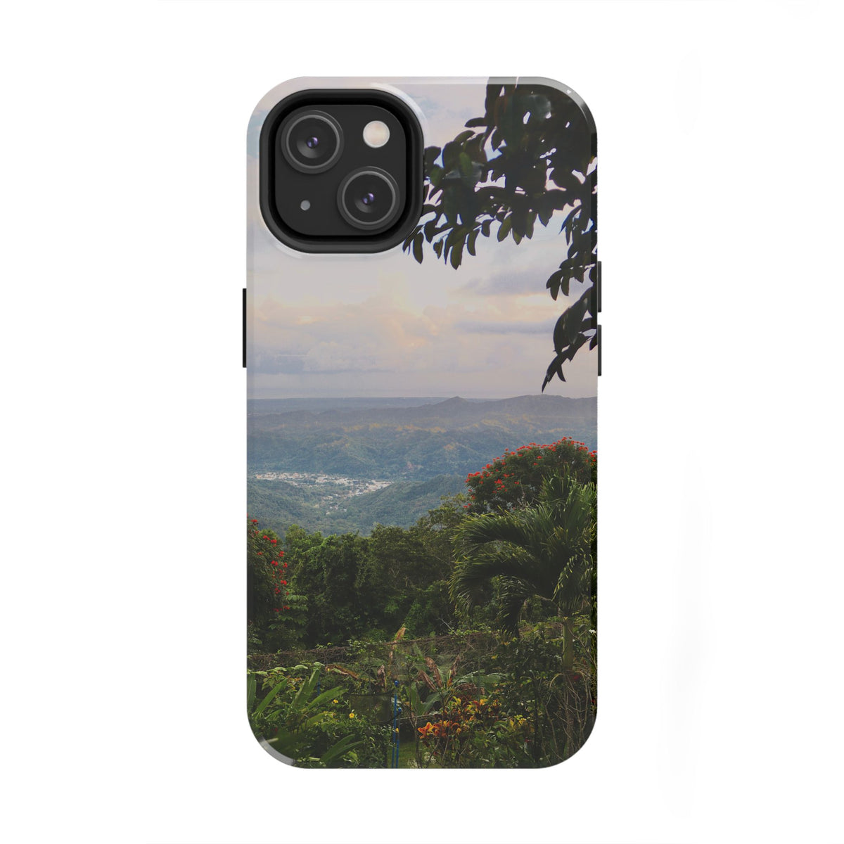Valley View