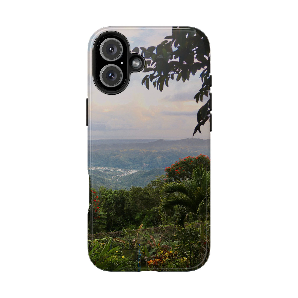 Valley View
