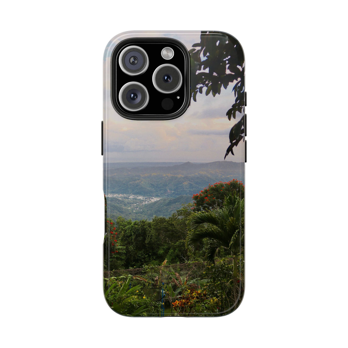 Valley View