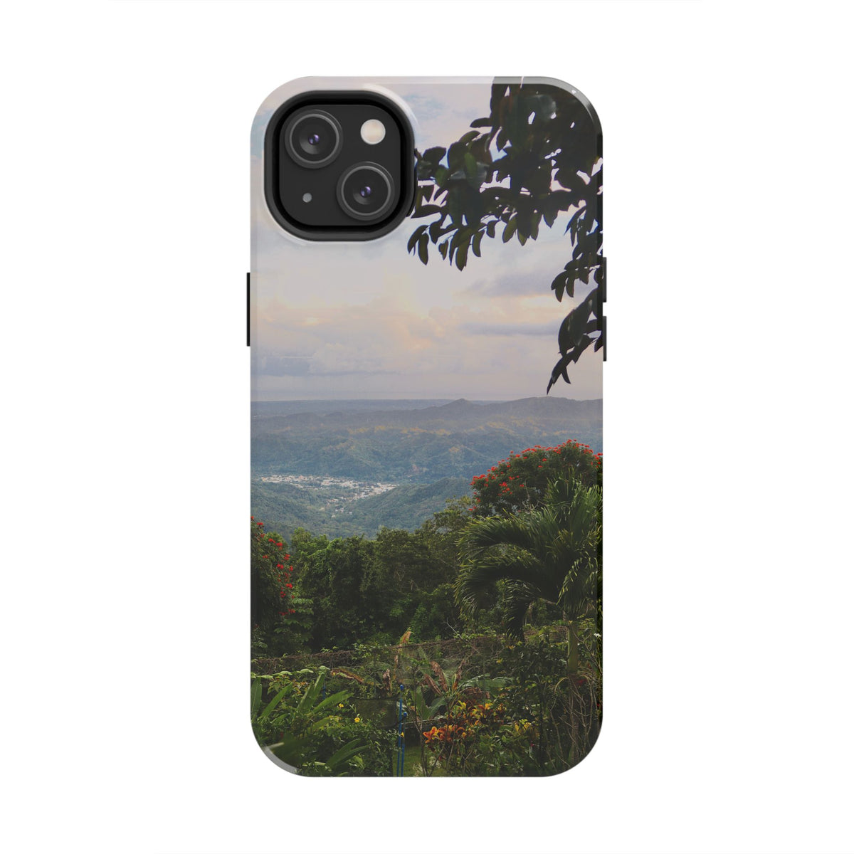 Valley View