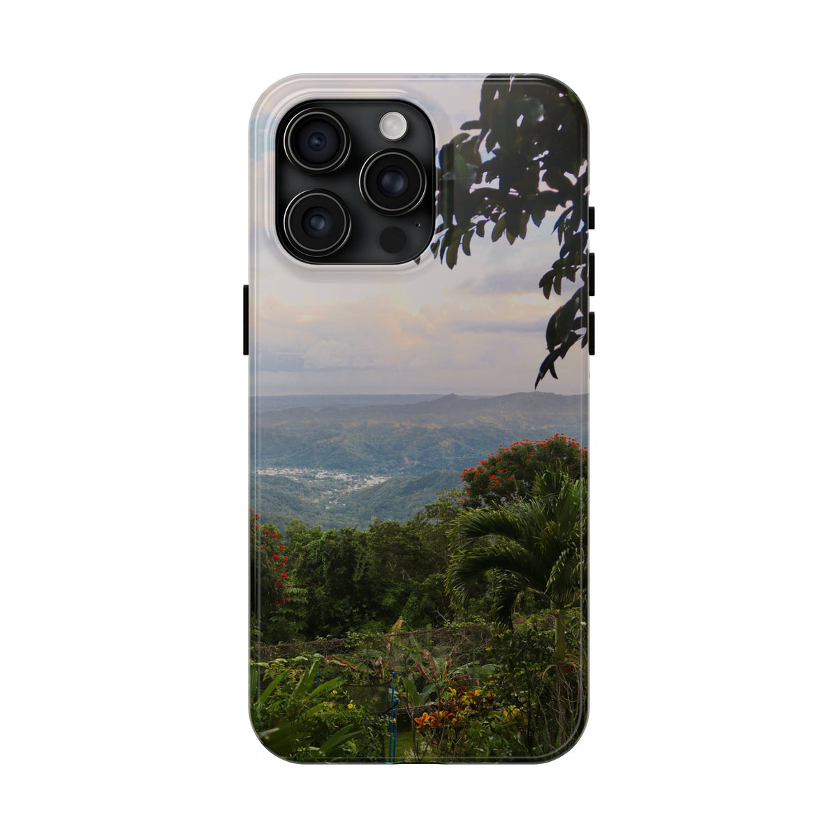 Valley View