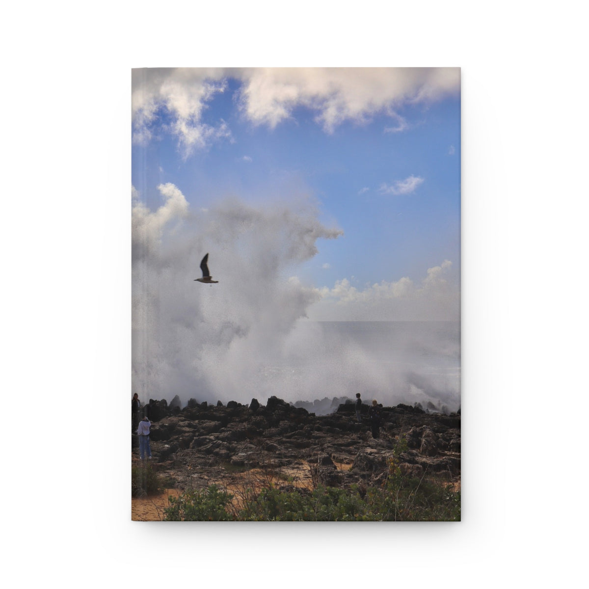 Sea Spray