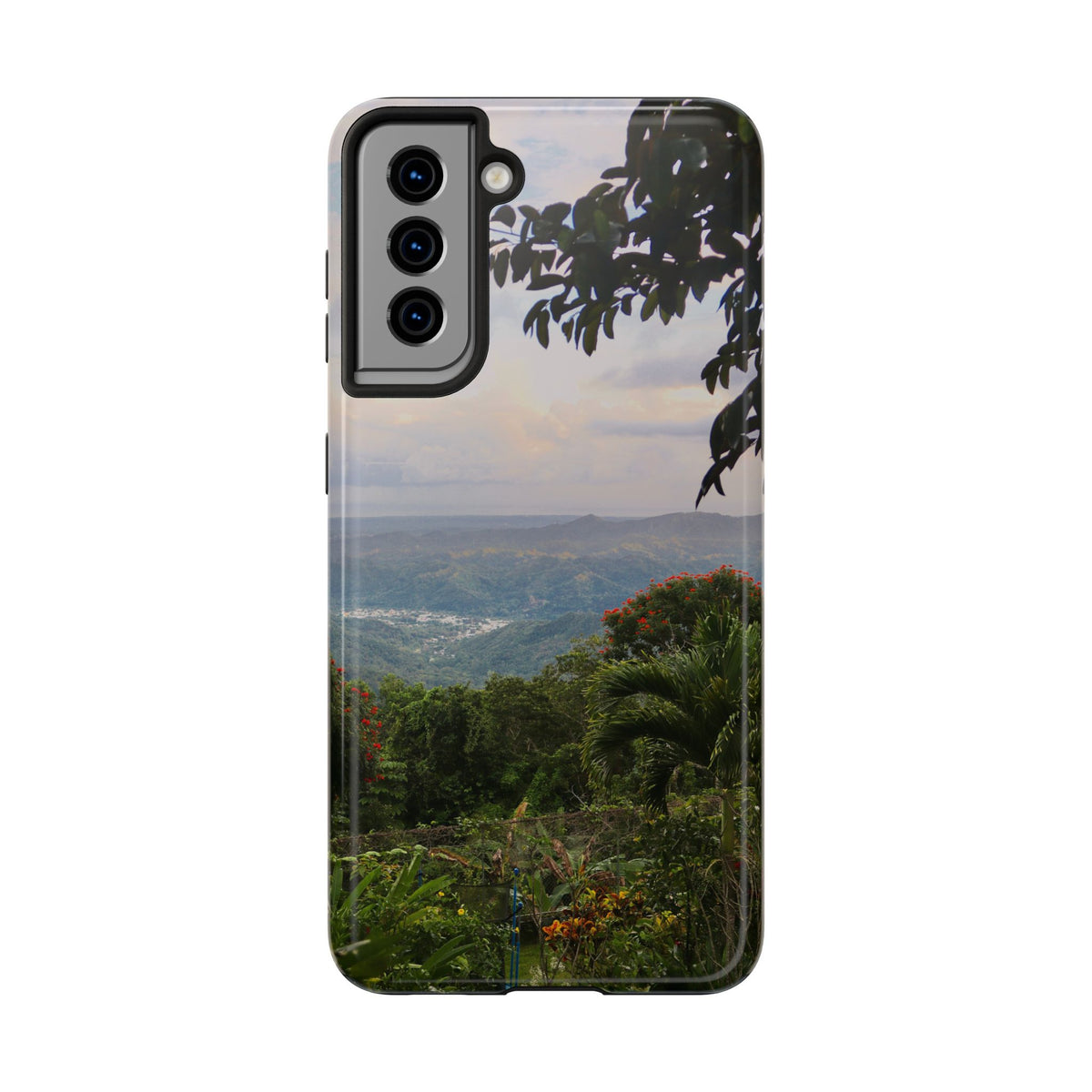 Valley View
