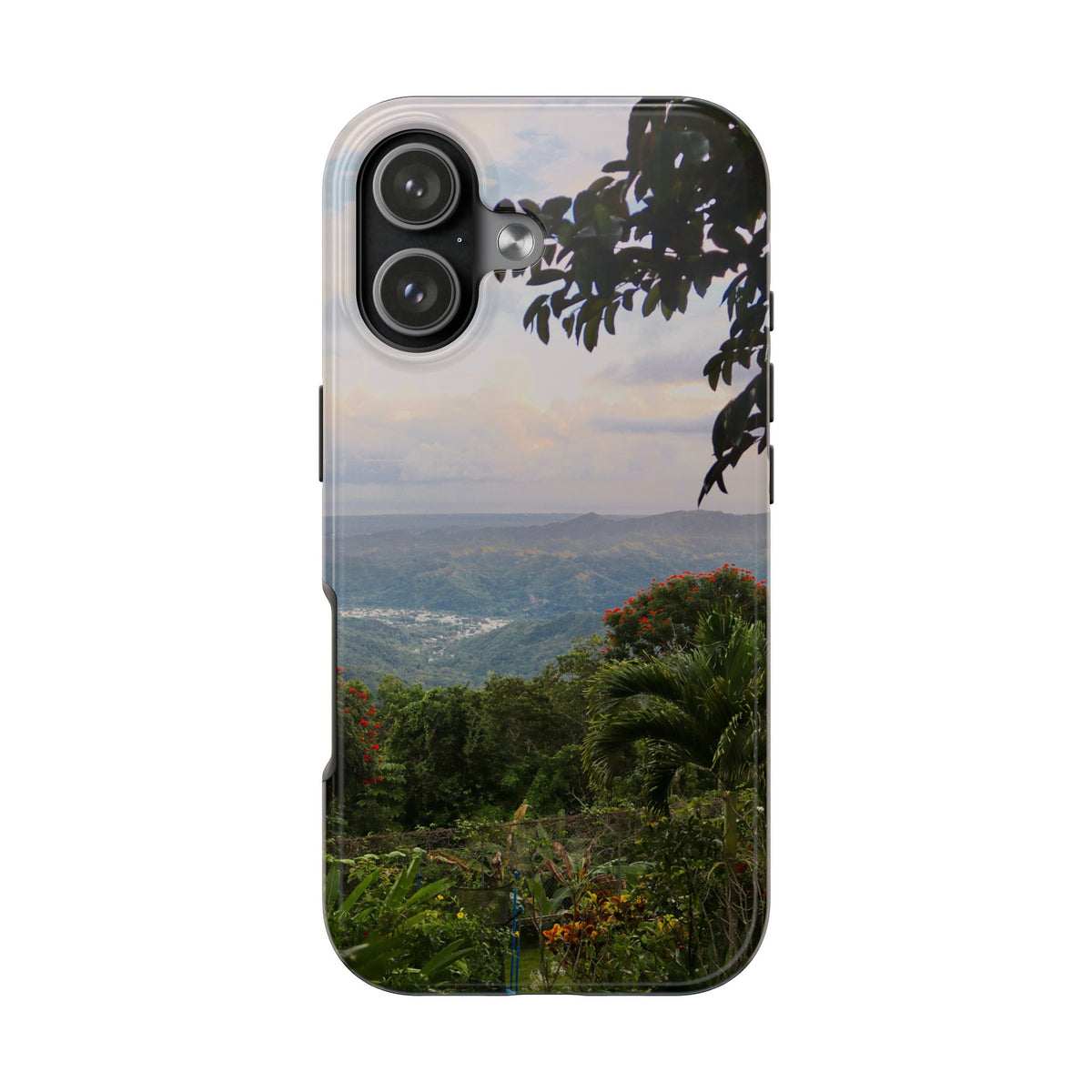 Valley View